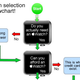 Illustration for article titled A Fun Flowchart to Help You Choose Which Apple Watch to Buy